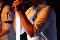 timid_tiger_10