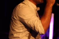 timid_tiger_12