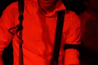 timid_tiger_6