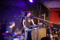 Analogue Birds