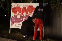 DSC04729