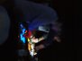 Glitterbug feat. Ronni Shendar live!