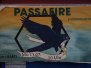 Passafire